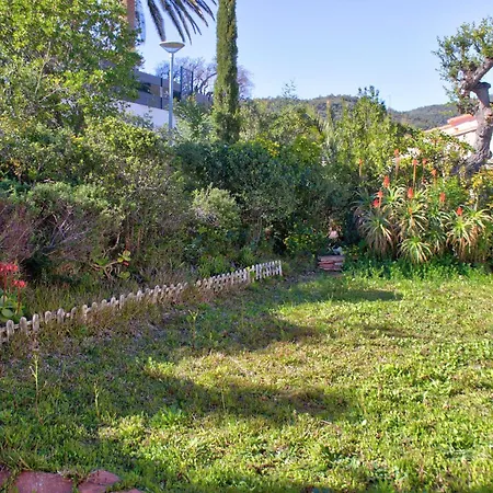 Madoni Roquebrune-sur-Argens